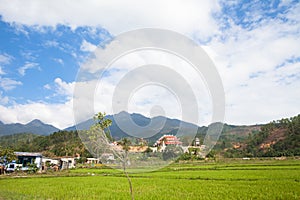 Vietnam Danang scenery photo